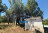 Casa de camp amb terreny en venda a la España, Albacete, ref.: TR416235 foto