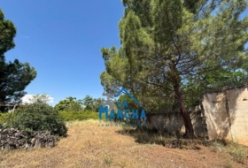 Albacete 1700&nbsp;m² 