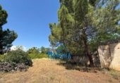 Casa de camp amb terreny en venda a la España, Albacete, ref.: TR416235 foto