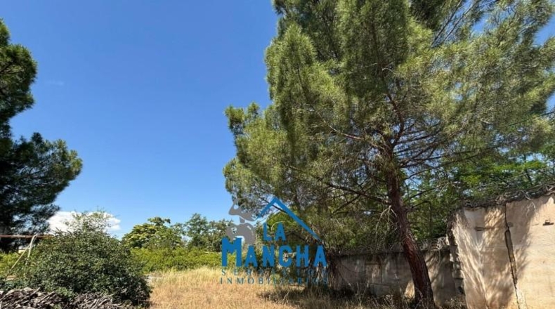 Albacete - Albacete - 1700m2