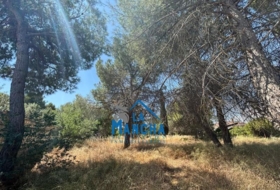 Albacete 1700&nbsp;m² 