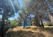 Casa de camp amb terreny en venda a la España, Albacete, ref.: TR416235 foto