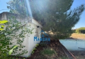 Casa de camp amb terreny en venda a la España, Albacete, ref.: TR416235 foto