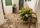 Casa de pueblo en venta en la España, Almansa, ref: TR416242 foto