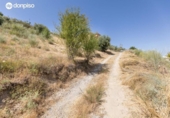 Urban land for sale on España, La Zubia, ref: TR416243 photo