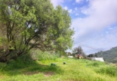 Terreno no urbanizable en venta en la España, Vega de San Mateo, ref: TR416244 foto
