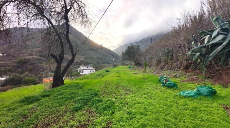 Las Palmas - Vega de San Mateo - 2874m2