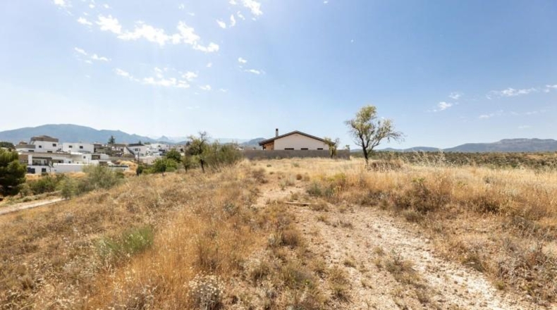 Granada - La Zubia - 656m2