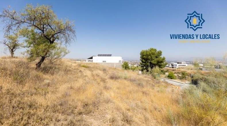 Granada - La Zubia - 656m2