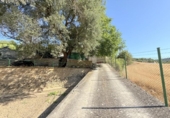 Chalet independiente con terreno en venta en la España, Villanueva de Yerri, ref: TR416248 foto