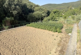 Villanueva de Yerri 7833&nbsp;m²