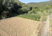 Chalet independiente con terreno en venta en la España, Villanueva de Yerri, ref: TR416248 foto