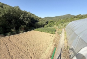 Villanueva de Yerri 7833&nbsp;m²