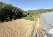 Chalet independiente con terreno en venta en la España, Villanueva de Yerri, ref: TR416248 foto