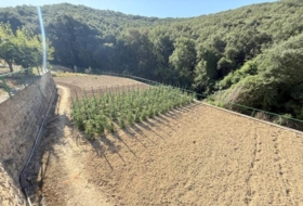 Villanueva de Yerri 7833&nbsp;m²