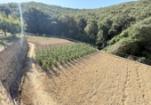 Chalet independiente con terreno en venta en la España, Villanueva de Yerri, ref: TR416248 foto