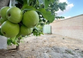 Отдельно стоящий дом с участком на продажу в городе Villanueva de Bogas Фото