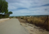 Terreny no urbanitzable en venda a la España, Oriola, ref.: TR416260 foto