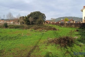 Argoños 4973&nbsp;m² 
