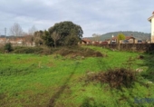 Terreny no urbanitzable en venda a la España, Argoños, ref.: TR416261 foto