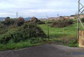 Argoños 4973&nbsp;m² 