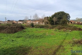 Argoños 4973&nbsp;m² 