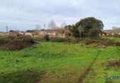 Terreny no urbanitzable en venda a la España, Argoños, ref.: TR416261 foto
