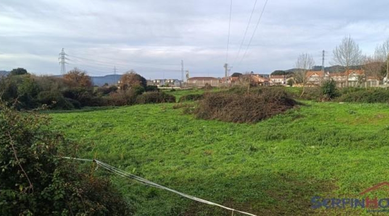 Cantabria - Argoños - 4973m2