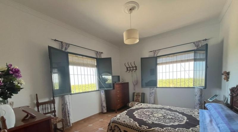 Sevilla - Osuna - 8900m2