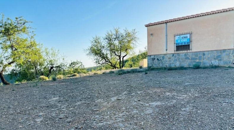 Granada - Motril - 12700m2