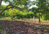 Terreno no urbanizable en venta en la España, Frigiliana, ref: TR416266 foto