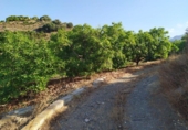 Terreno no urbanizable en venta en la España, Frigiliana, ref: TR416266 foto