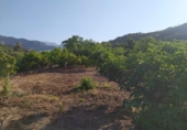 Terreno no urbanizable en venta en la España, Frigiliana, ref: TR416266 foto