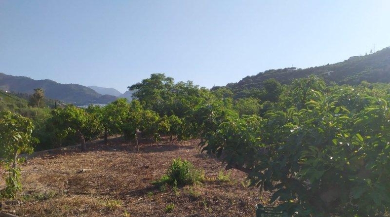 Málaga - Frigiliana - 9000m2