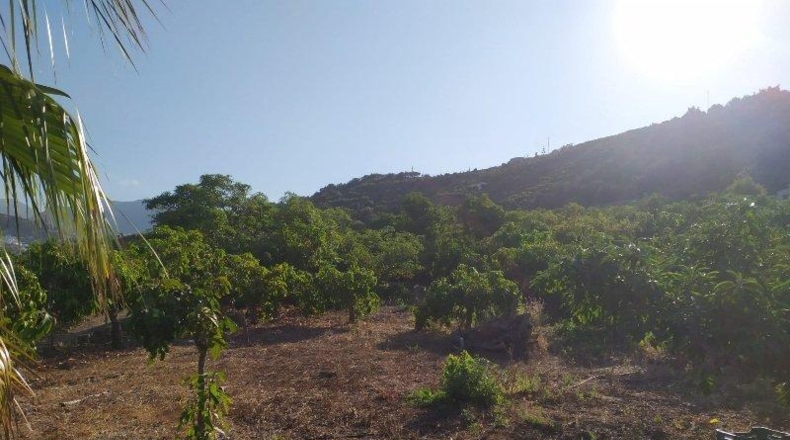 Málaga - Frigiliana - 9000m2