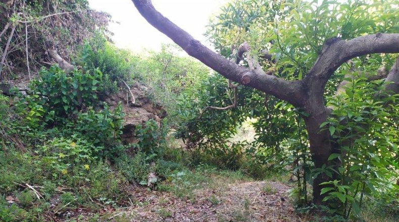 Málaga - Frigiliana - 9000m2