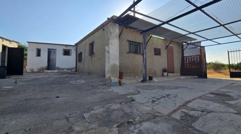 Valencia - Llíria - 1600m2
