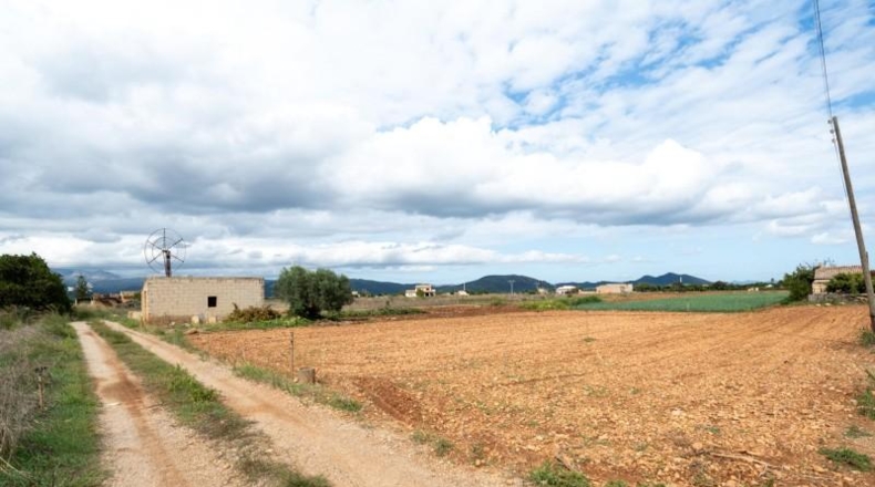 Islas Baleares - Muro - 14m2
