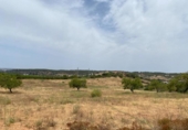 Terreno no urbanizable en venta en la España, Ayamonte, ref: TR416293 foto