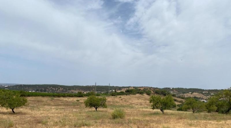 Huelva - Ayamonte - 49044m2