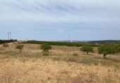 Terreno no urbanizable en venta en la España, Ayamonte, ref: TR416293 foto