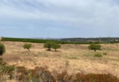 Terreno no urbanizable en venta en la España, Ayamonte, ref: TR416293 foto