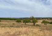 Terreno no urbanizable en venta en la España, Ayamonte, ref: TR416293 foto