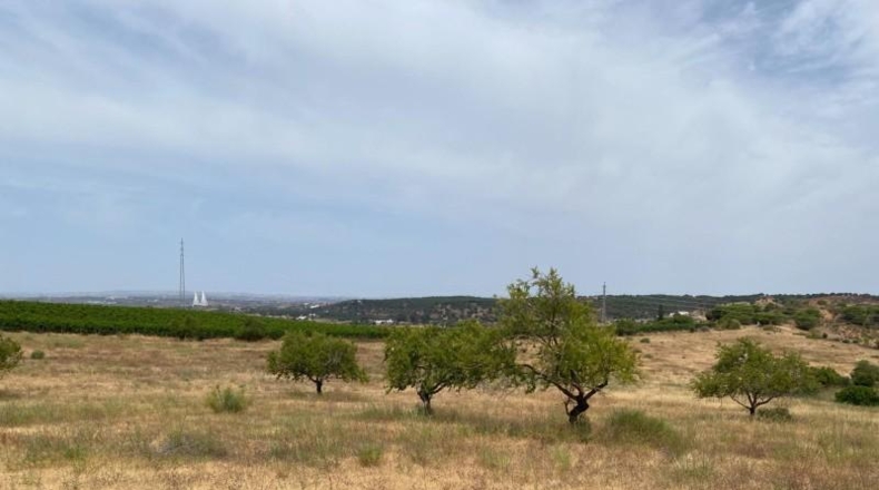 Huelva - Ayamonte - 49044m2
