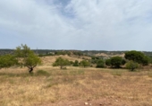 Terreno no urbanizable en venta en la España, Ayamonte, ref: TR416293 foto