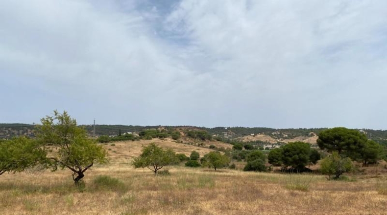 Huelva - Ayamonte - 49044m2