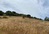 Terreno no urbanizable en venta en la España, Ayamonte, ref: TR416293 foto