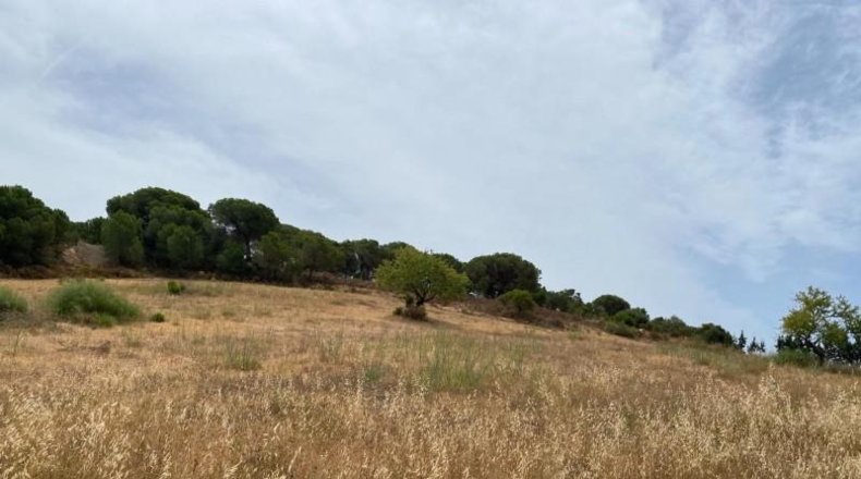 Huelva - Ayamonte - 49044m2