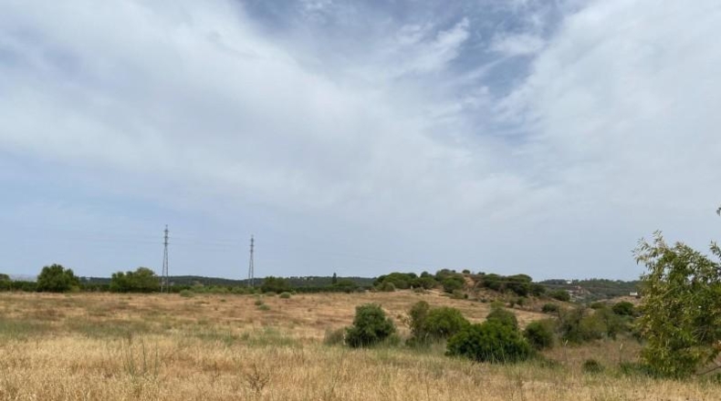 Huelva - Ayamonte - 49044m2
