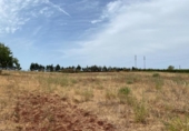 Terreno no urbanizable en venta en la España, Ayamonte, ref: TR416293 foto